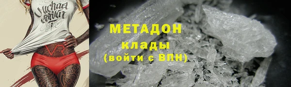 шишки Каменногорск