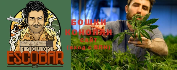 PSILOCYBIN Осташков