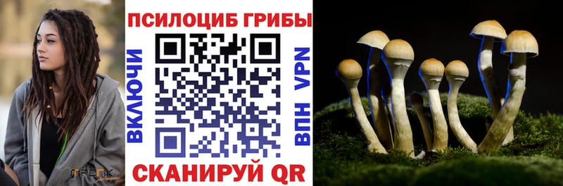 что такое   Багратионовск  МЕГА tor  Псилоцибиновые грибы прущие грибы 